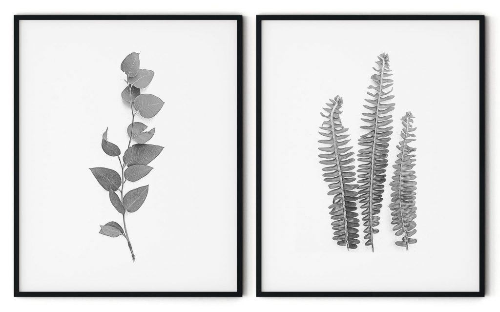 Black and White Botanical Framed Wall Art (Set of 2), Nature Art, Modern Art - Choose Size and Frame Color