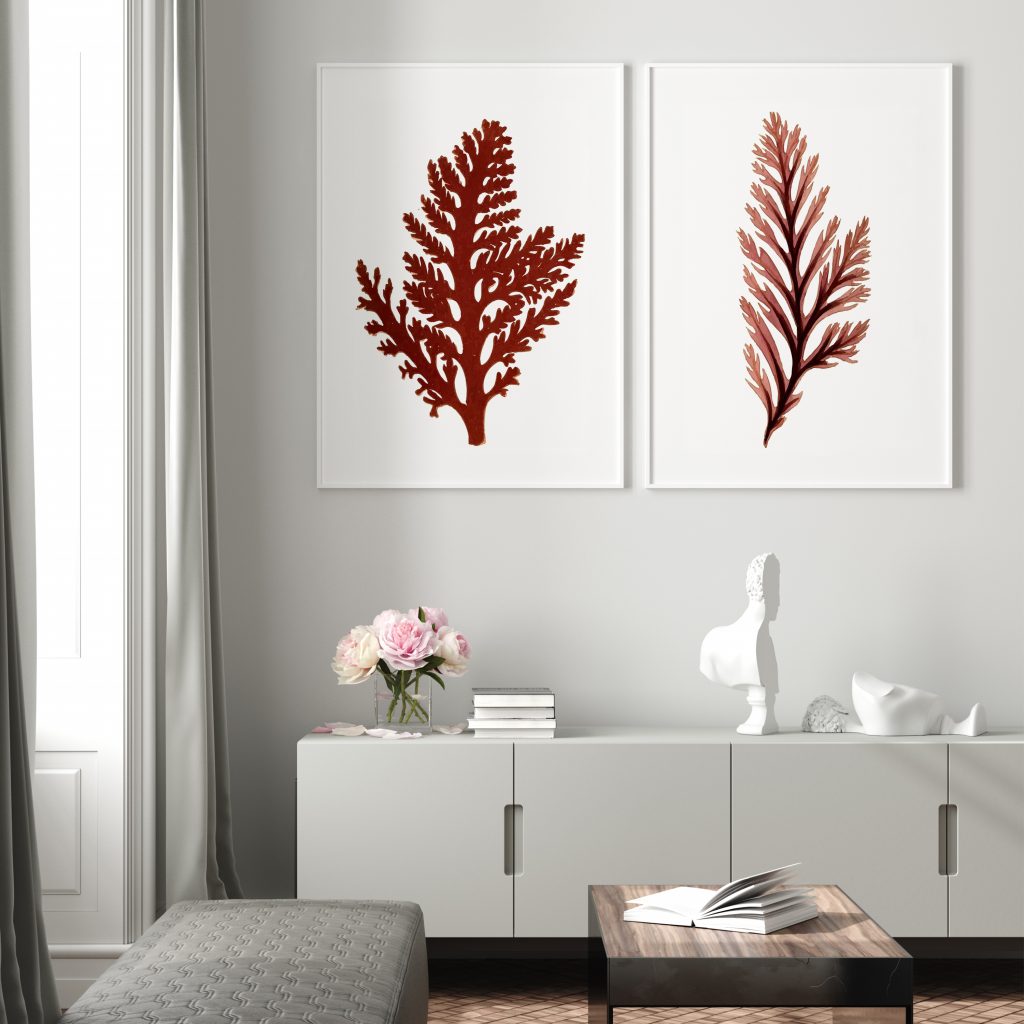 Botanical Two Red Brown Seaweed – Wall Art