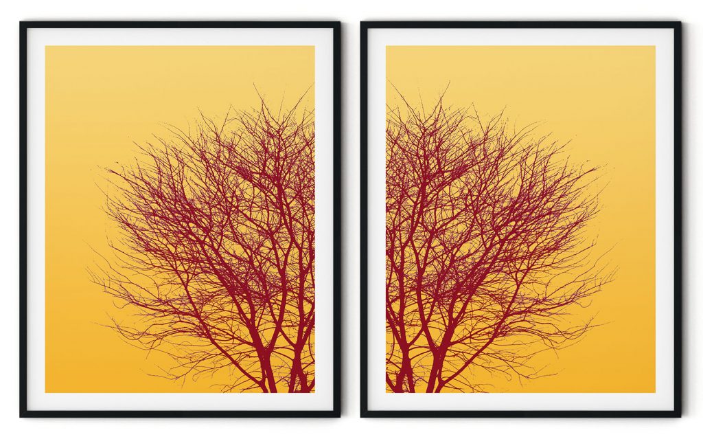 Set of 2 tree