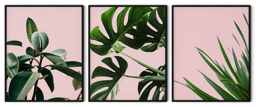 Set of 3 monstera leaf
