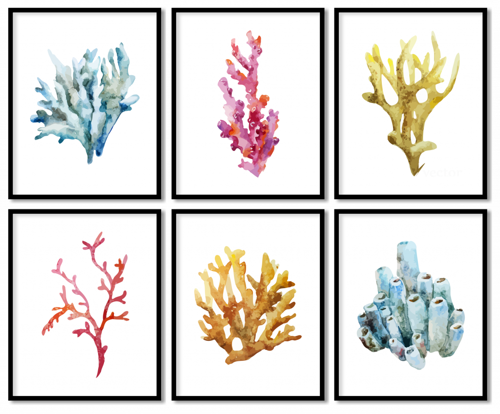 Set of 6 colorful sponge coral