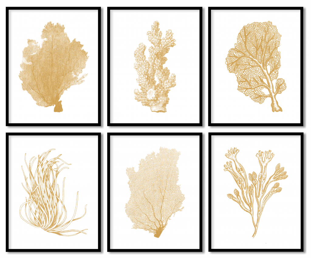 Set of 6 coral sea fan and water reef plants
