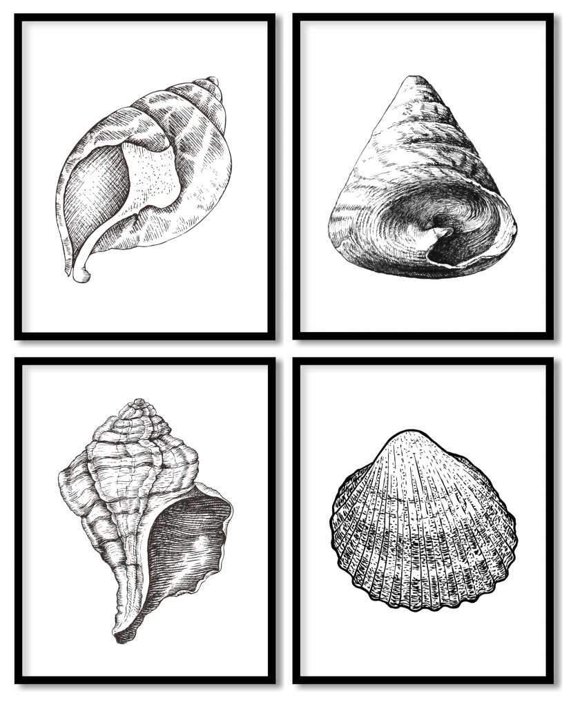 Set of 4 realistic seashell