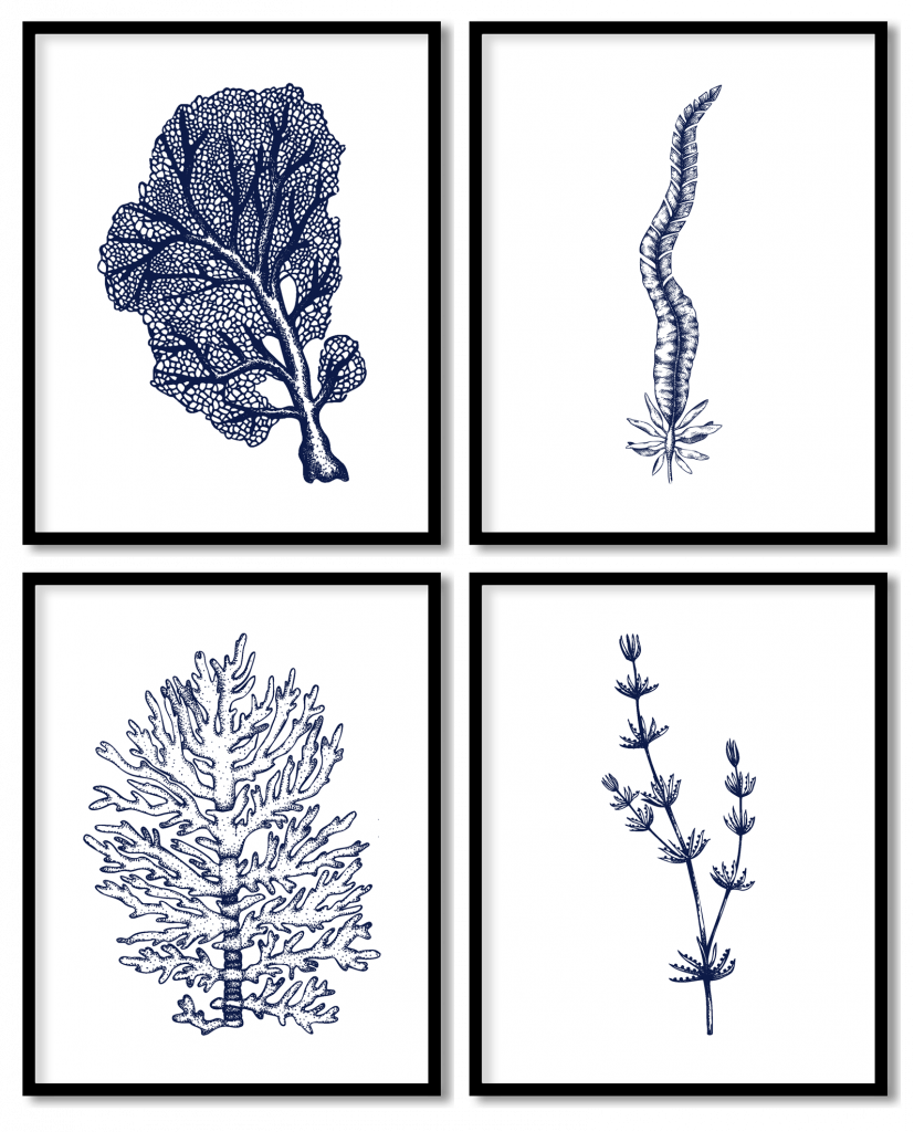 Set of 4 blue seaweed and coral reef plants