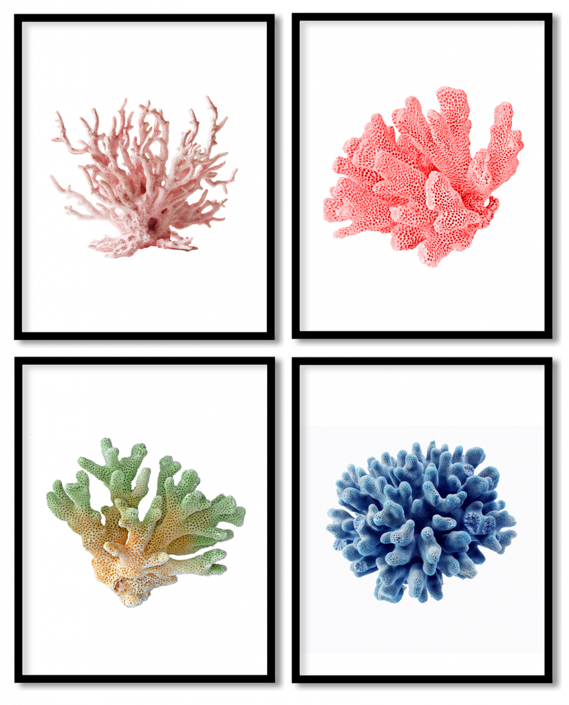 Set of 4 colorful coral