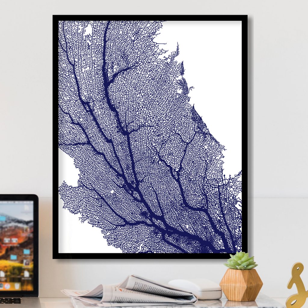 Nature Intricate Blue Sea Fan – Wall Decor