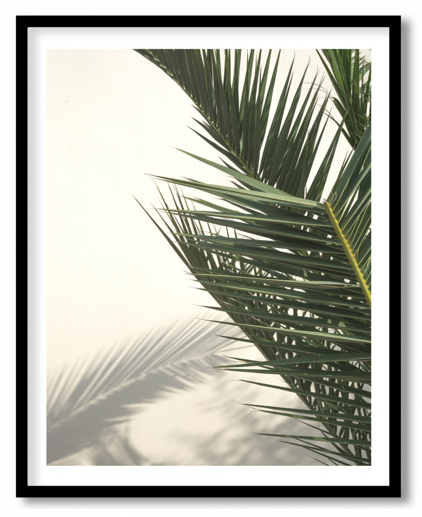 Palm leaf tree