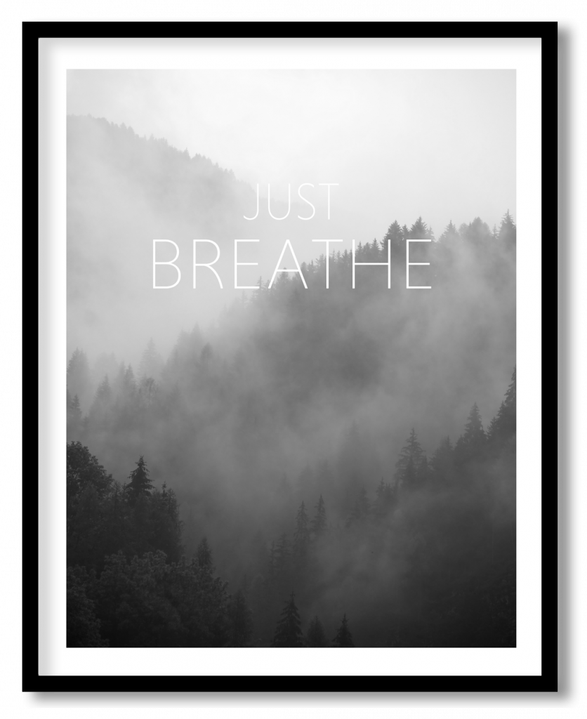 Just breathe foggy forest