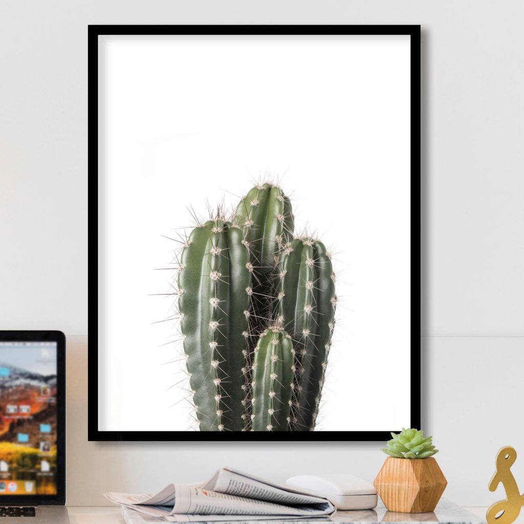 Botanical Green Cactus – Wall Art