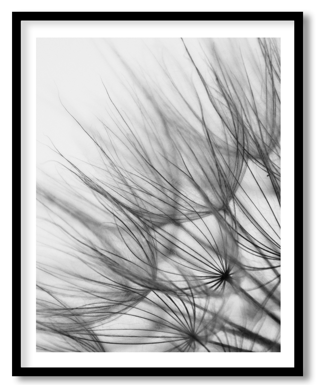 HREY-06-033-