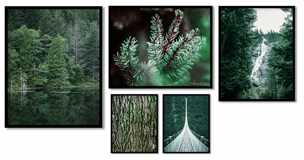 Set of 5 green forest waterfall bridge landscape