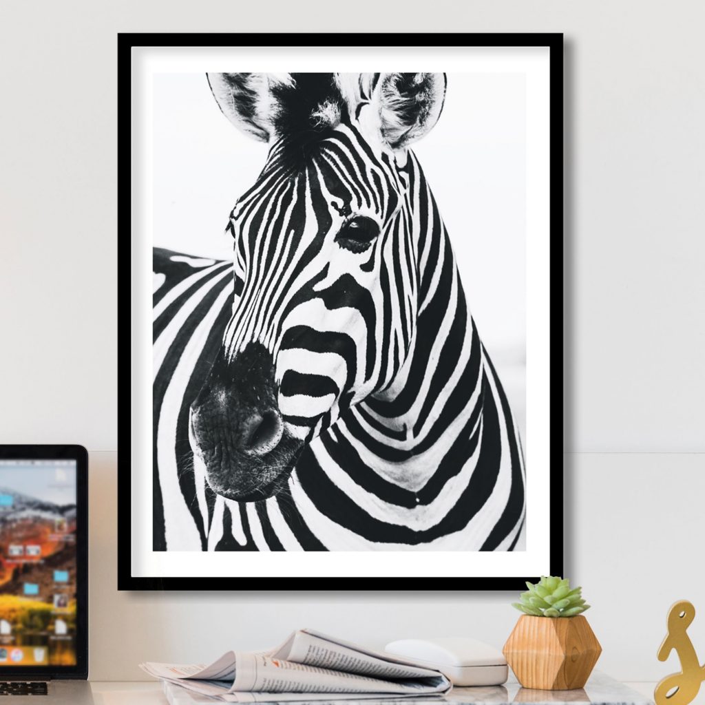 Black and white zebra Wall Art, Hanging Wall Decor, Home Decor