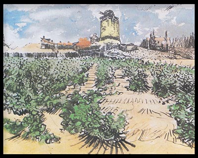 18A209.jpg