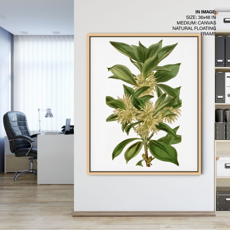 Botanical Pale Yellow Flowering Plant – Wall Art