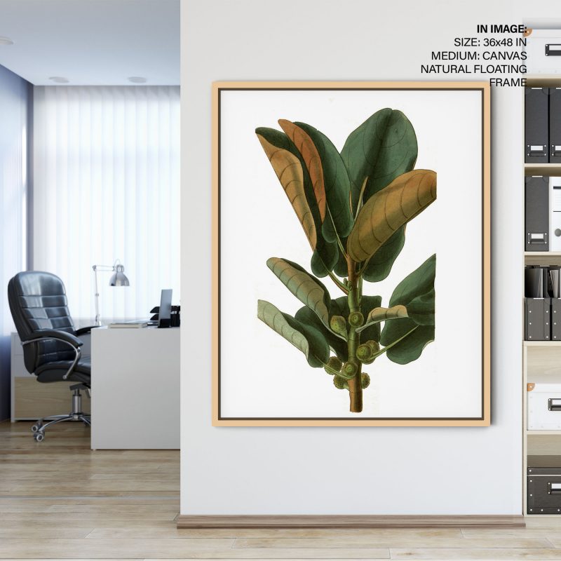 Botanical Fig Leaves and Fruits – Home Decor