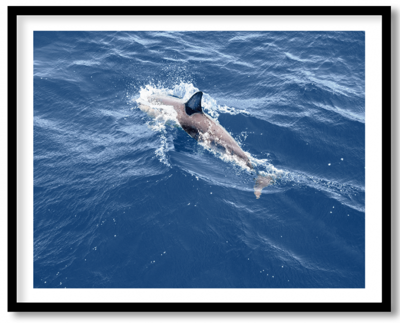 img-76.png