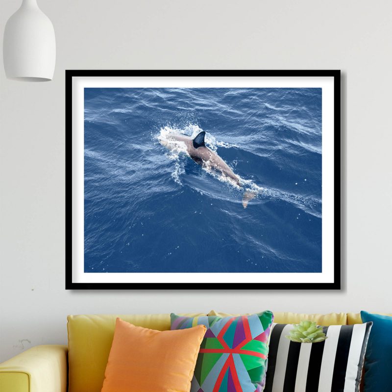 img-76jpg2.jpg img-76jpg2.jpg