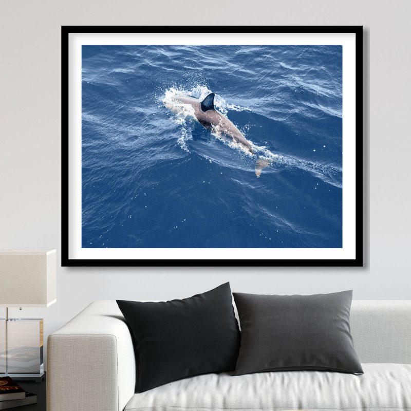 img-76jpg3.jpg img-76jpg3.jpg