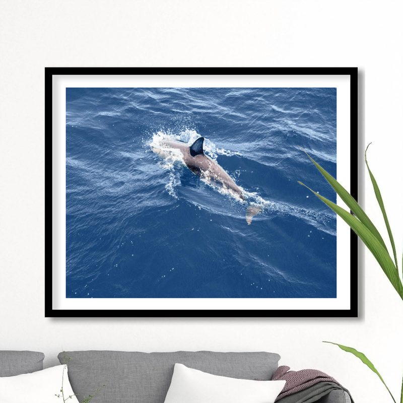 img-76jpg4.jpg img-76jpg4.jpg