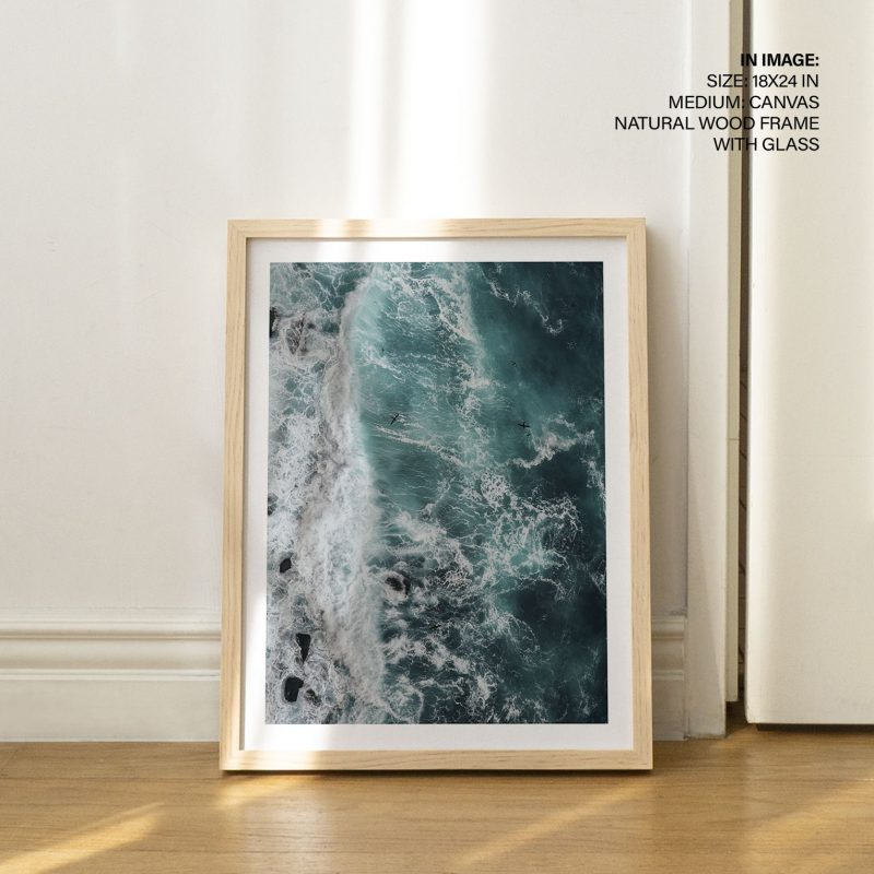 Nature Aerial Waves Rocks Birds – Wall Painting