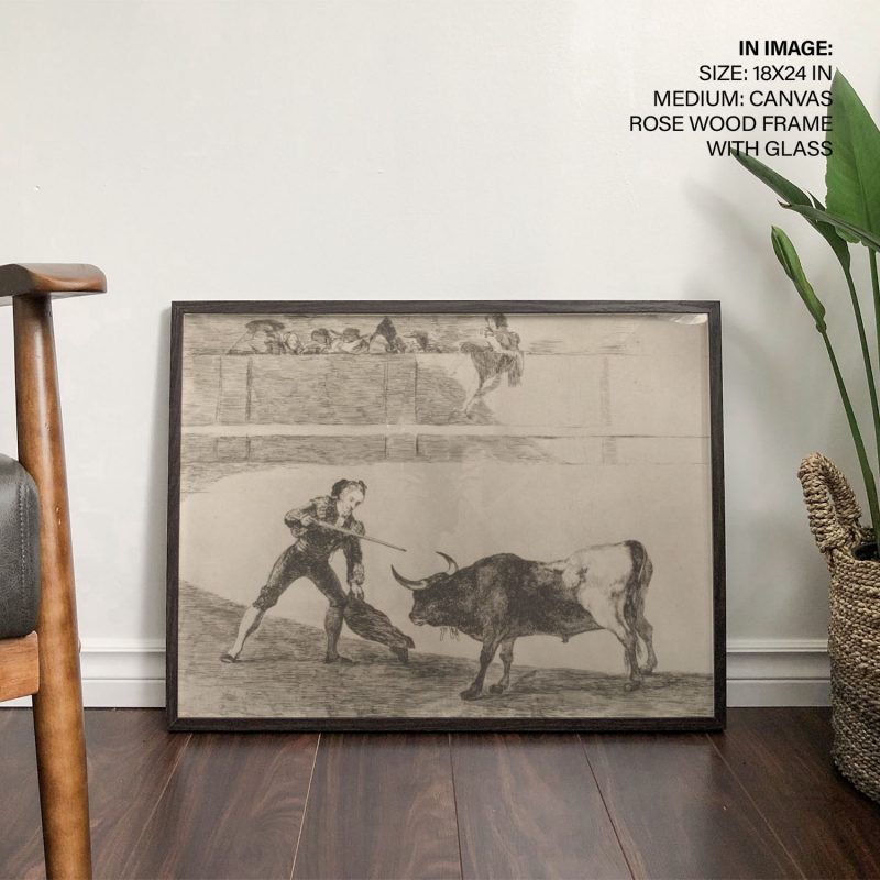 Pedro romero slaying a standing bull (La Tauromaquia) by Francisco Goya
