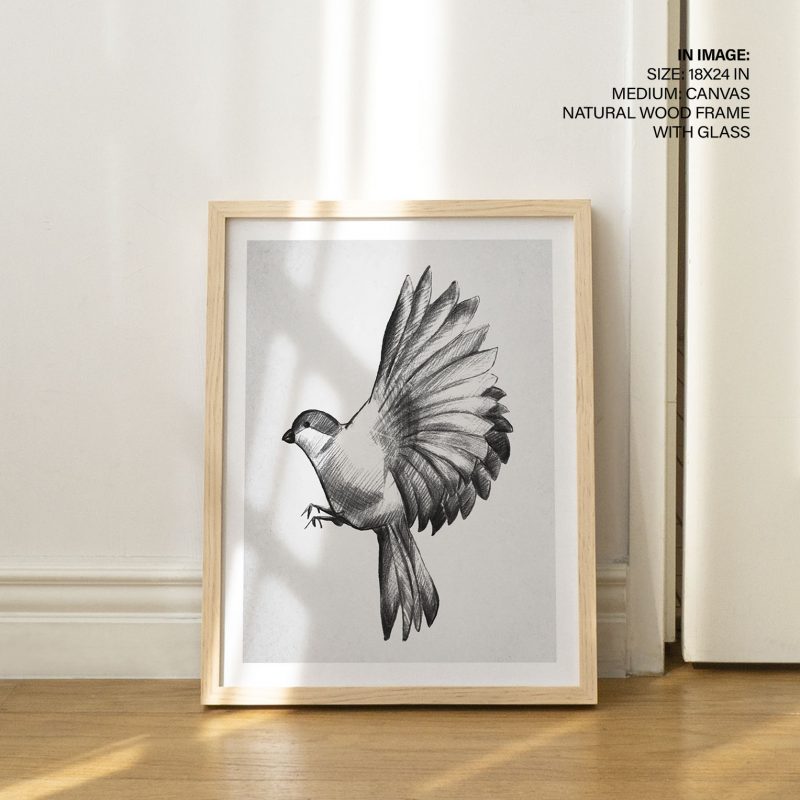 Fine Art Bird in Flight – Wall Decor