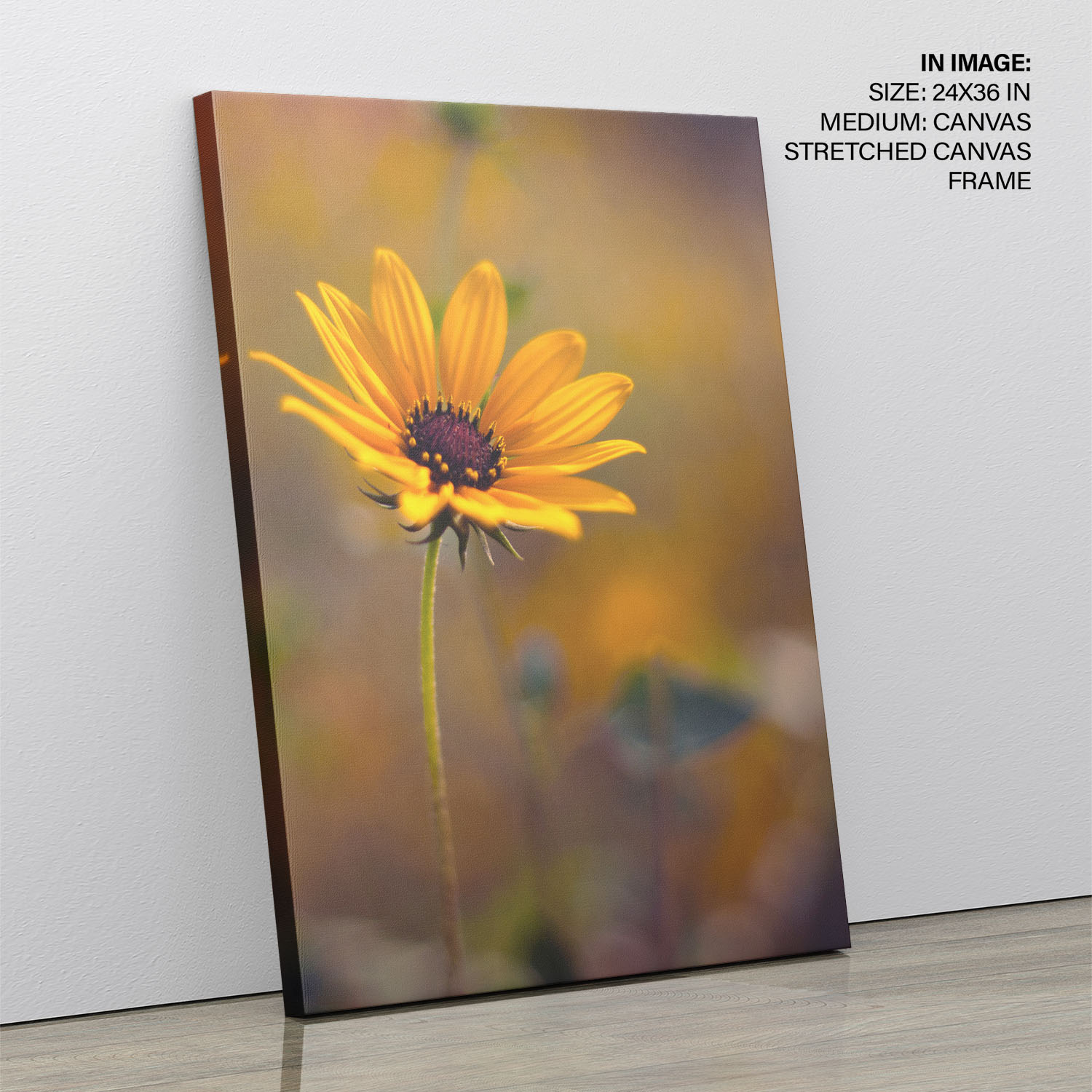 Closeup yellow flower Wall Art, Hanging Wall Decor, Home Decor