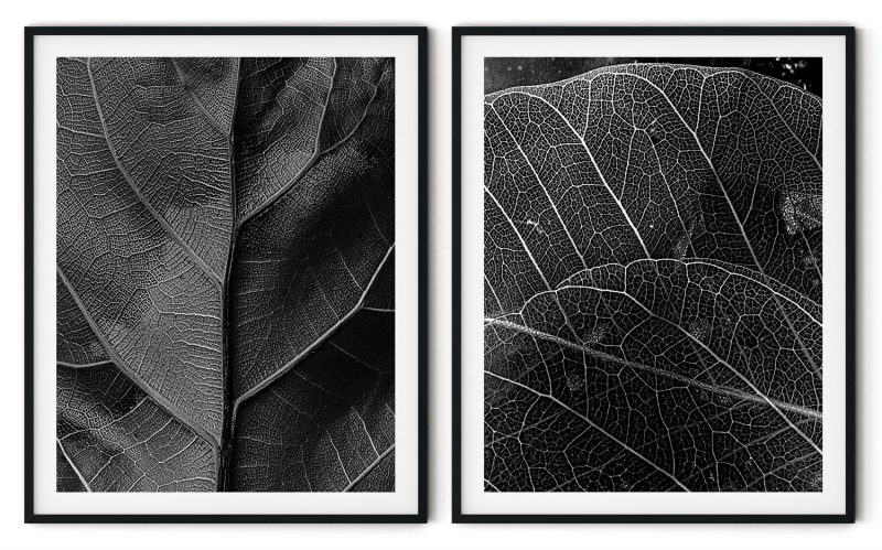 Set of 2 black burnt detailed leaves