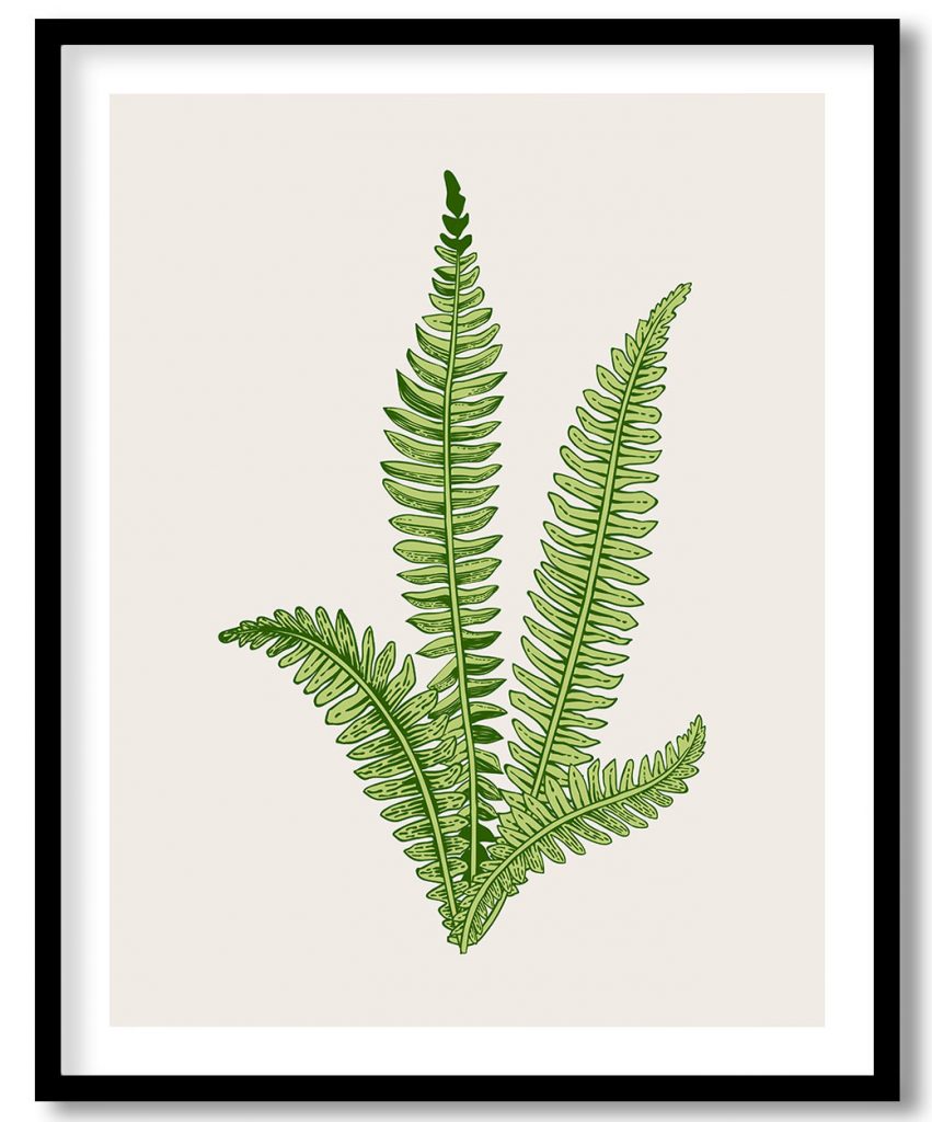 Vintage exoctic green fern leaf
