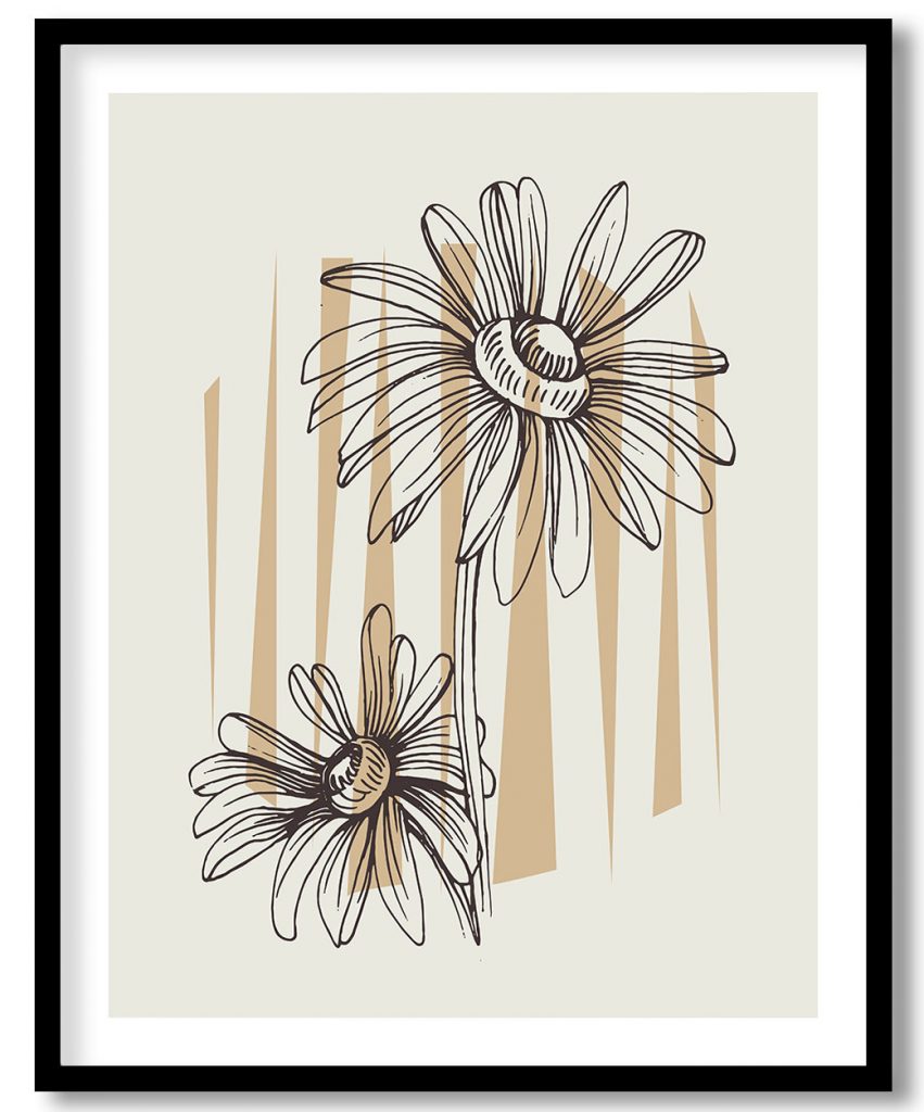 The baby and mom daisy flowers