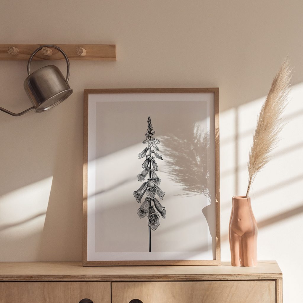 Botanical Black and White Foxglove – Wall Art