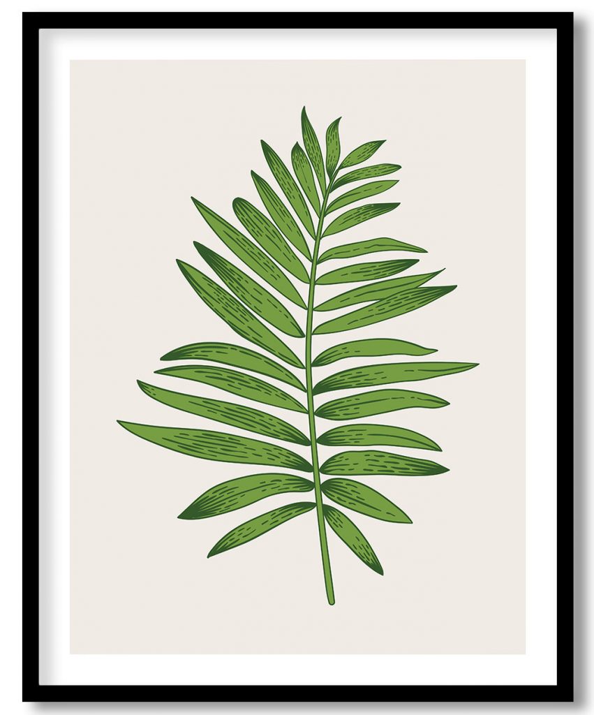 Vintage exoctic green chamaedorea leaf