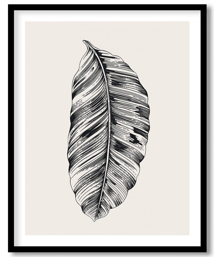 Vintage exoctic black and white banana palm leaf