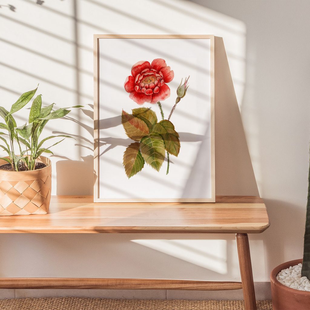 Botanical Red Rose Plant – Wall Hanging
