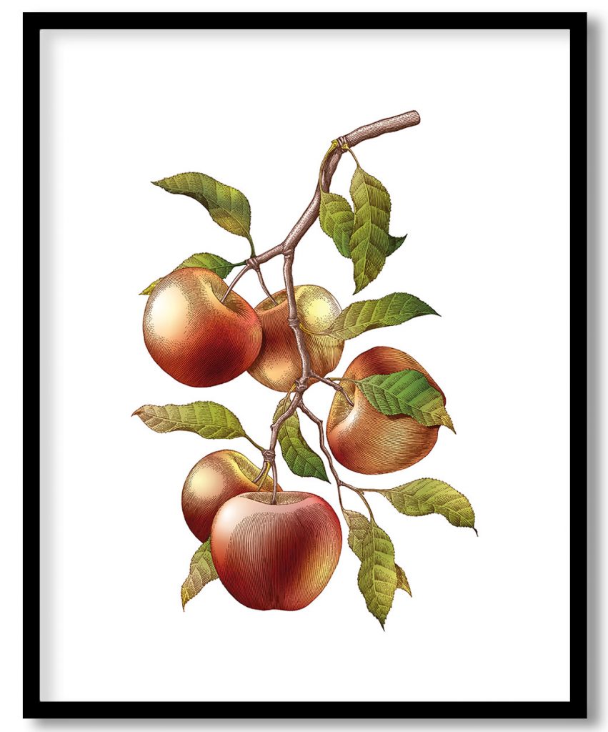 Apple branch painting