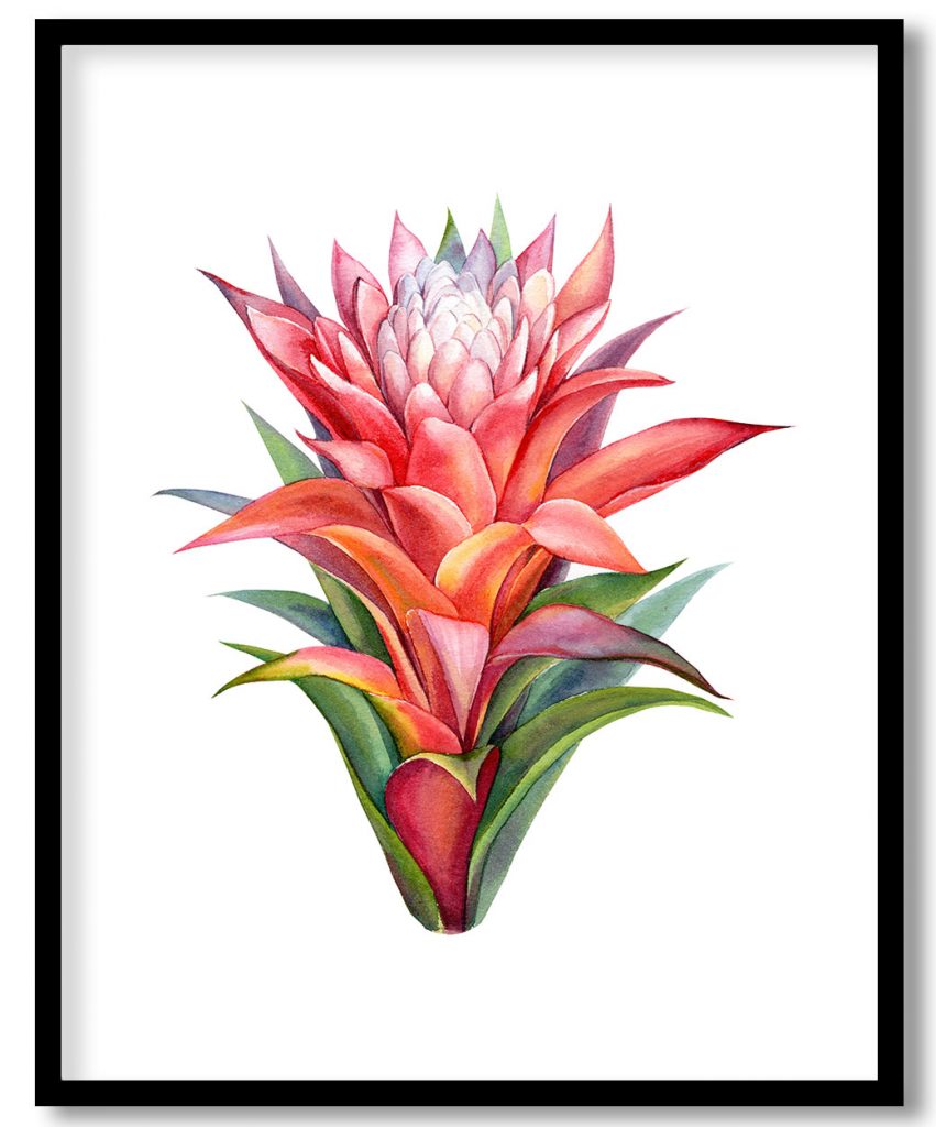 Colourful Flower Head