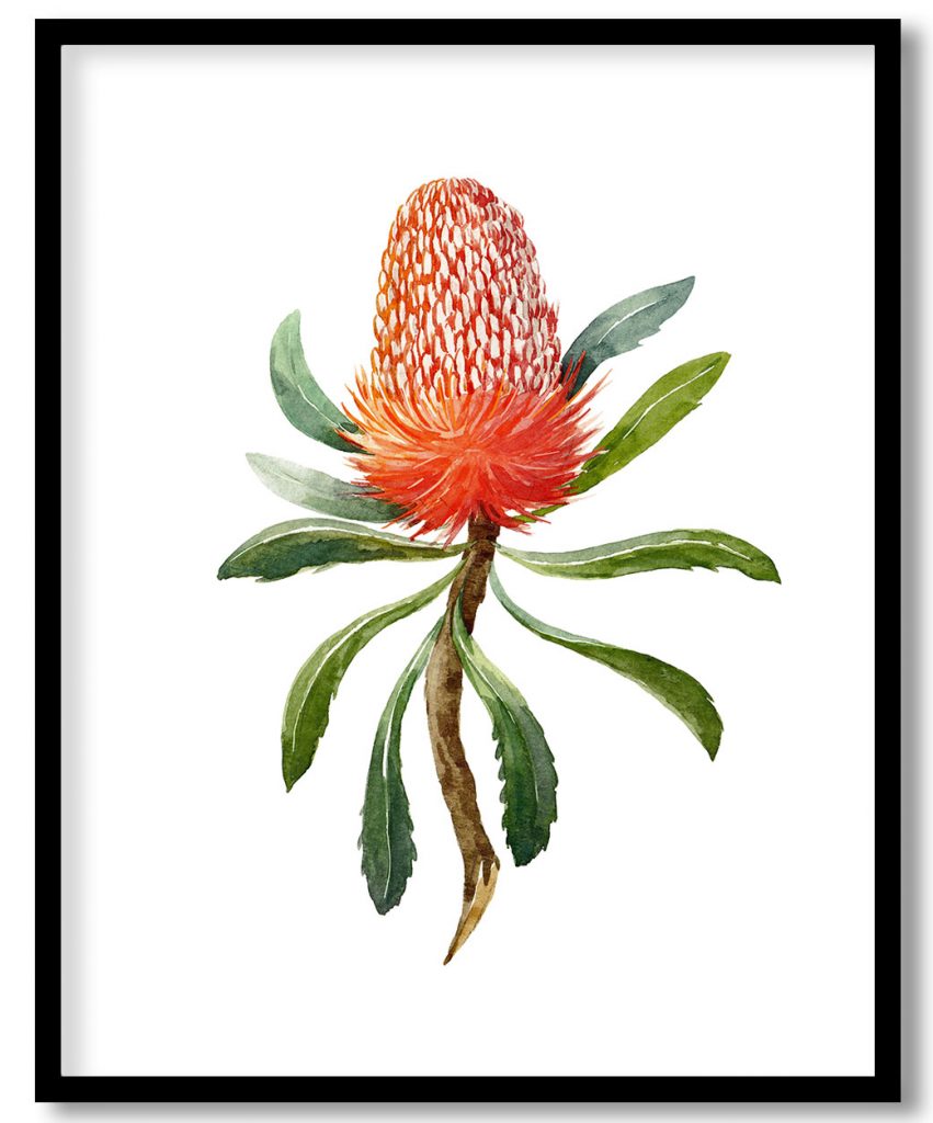 Hand Painted Banksia Flower