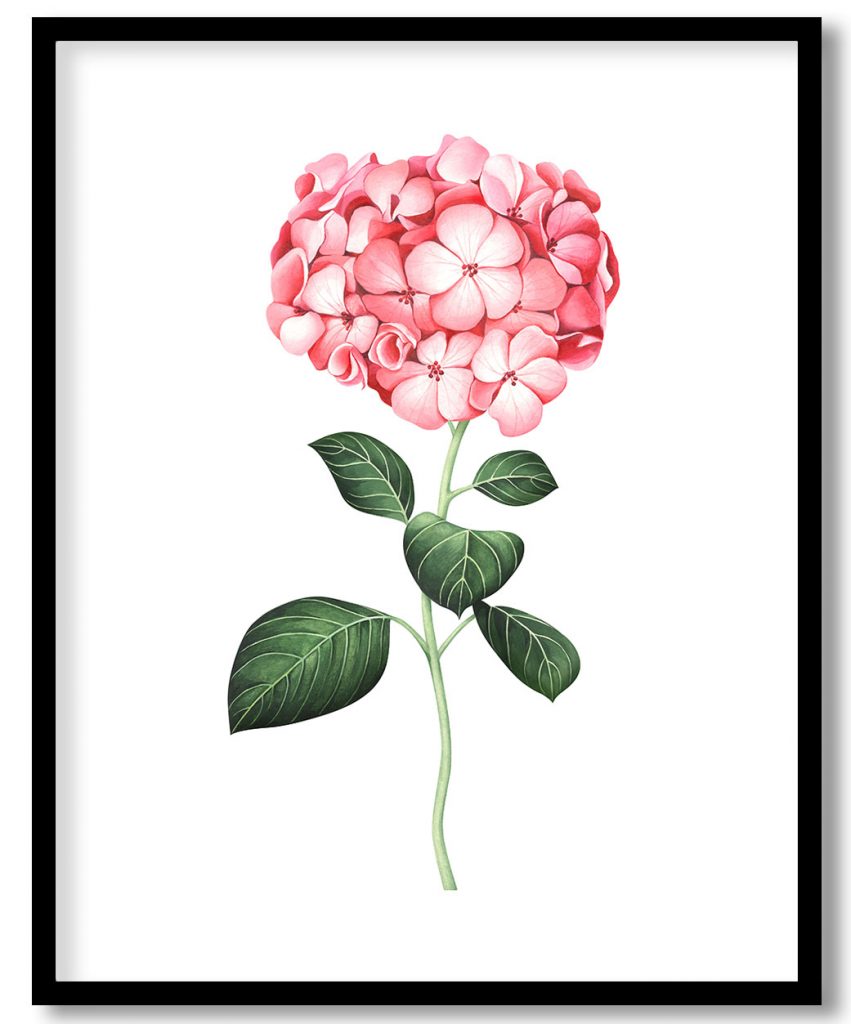 Elegant Bunch Of Pink Florets