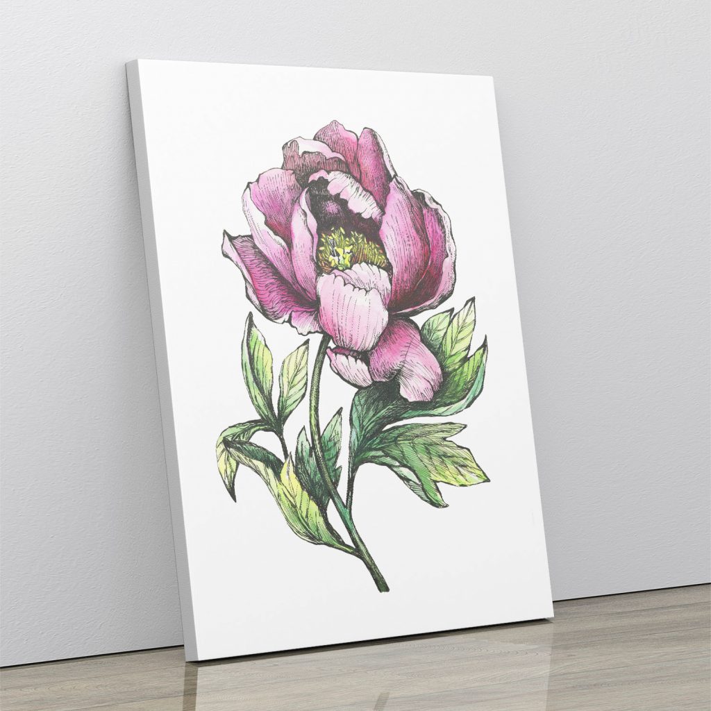 Botanical Flower Drawing Wall Art, Hanging Wall Decor, Home Decor BestOfBharat