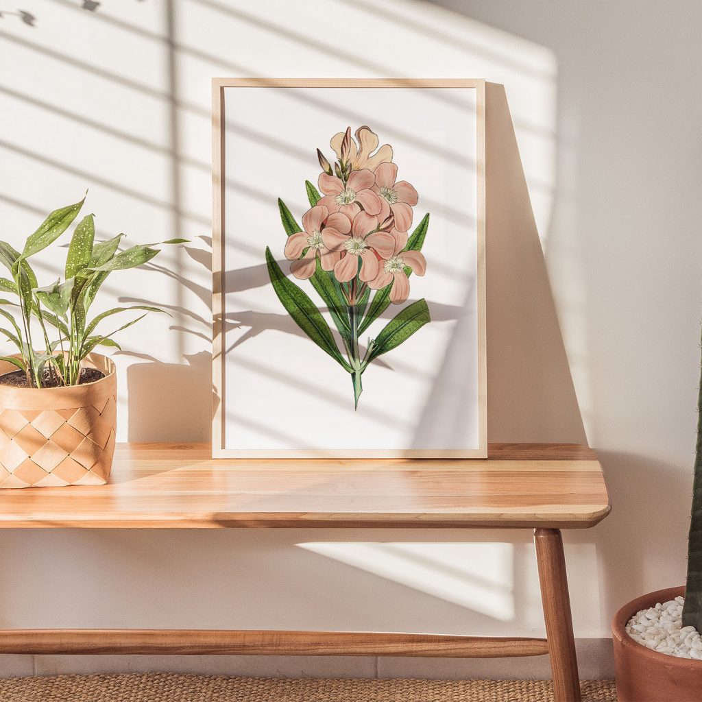 Botanical Pink Oleander Flowers – Wall Decor