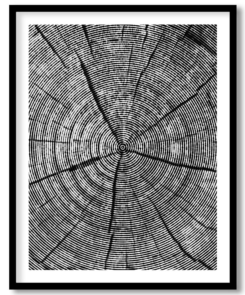 Black and White Tree Trunk