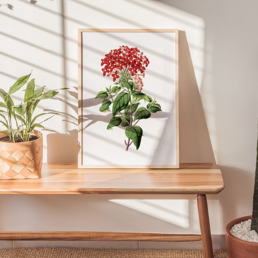 Botanical Red Pink Flowers – Home Decor