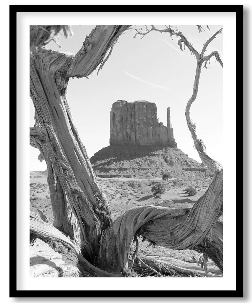 Natural Tree Frame for Monument Valley