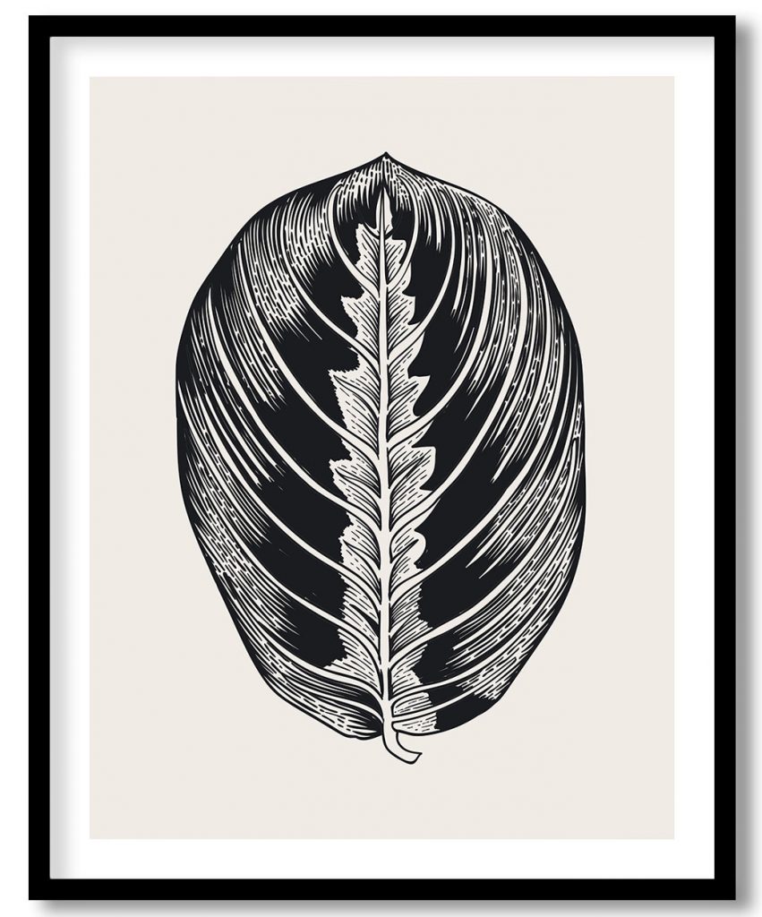 Vintage exoctic black and white maranta leaf