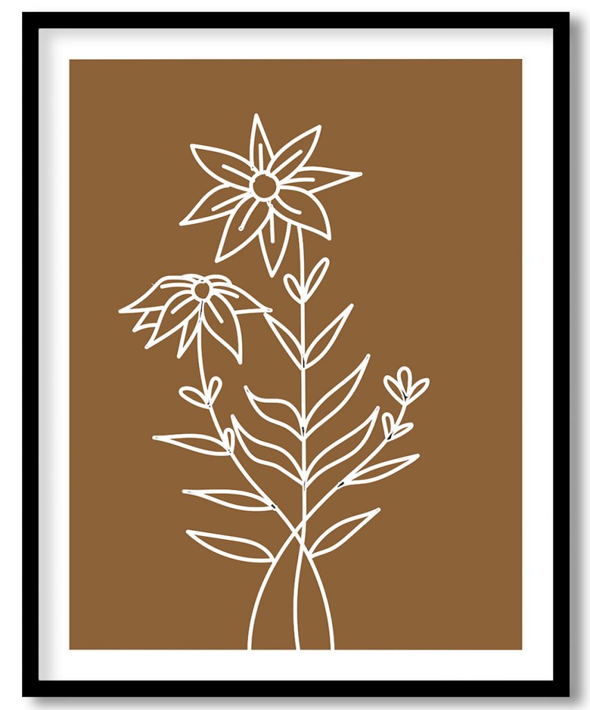 The splendid edelweiss flower