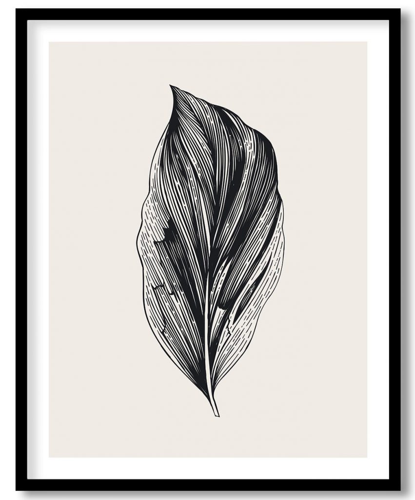 Vintage exoctic black and white dracaena leaf