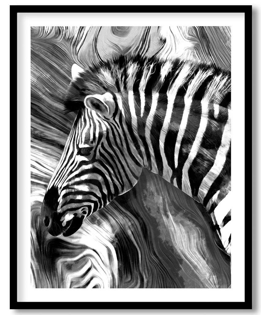 Enjoy the eyelashes of a zebra