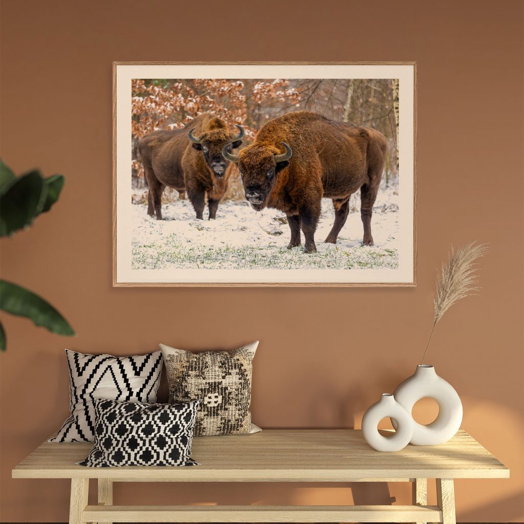 Bison Pair Wall Art, Hanging Wall Decor, Home Decor BestOfBharat