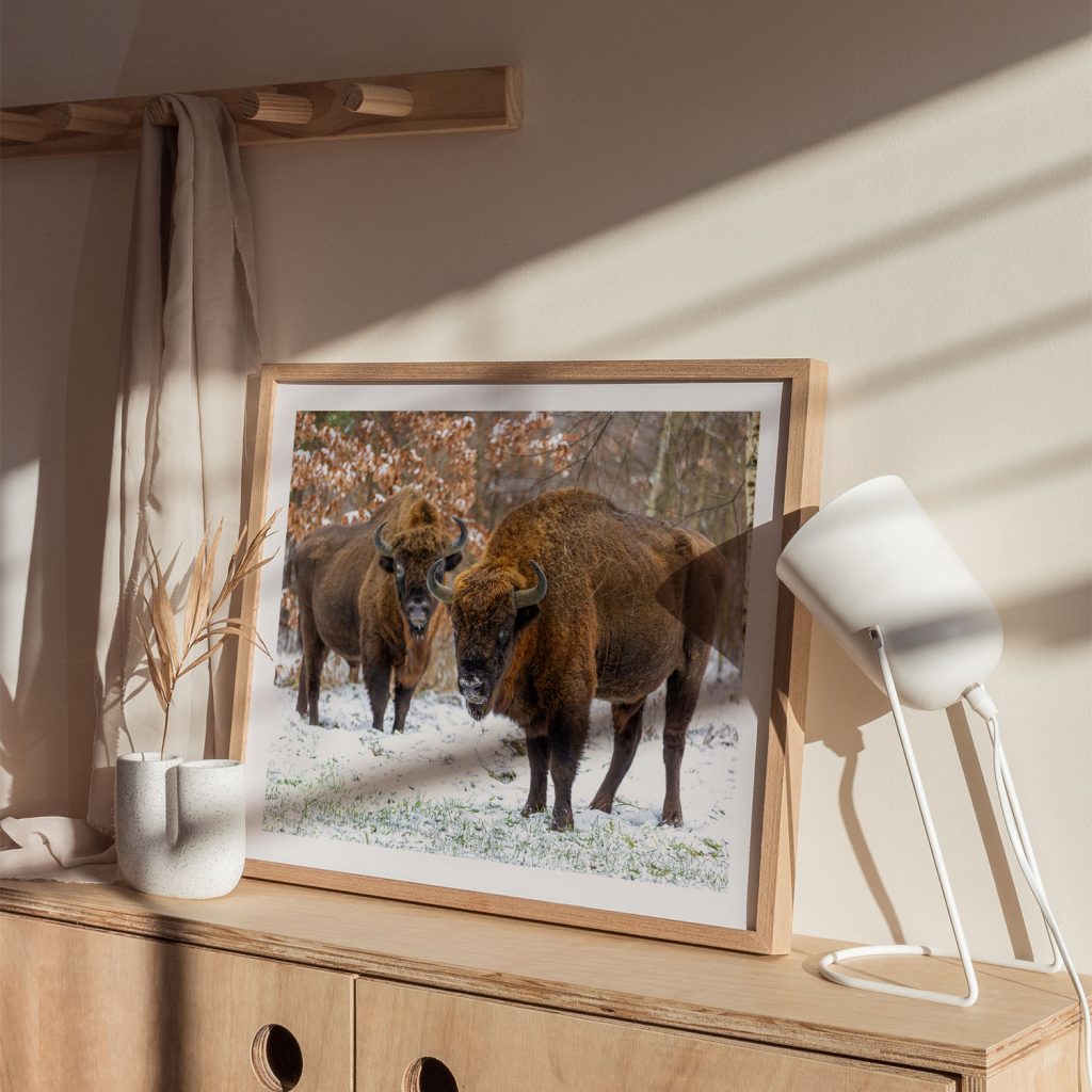 Bison Pair Wall Art, Hanging Wall Decor, Home Decor BestOfBharat