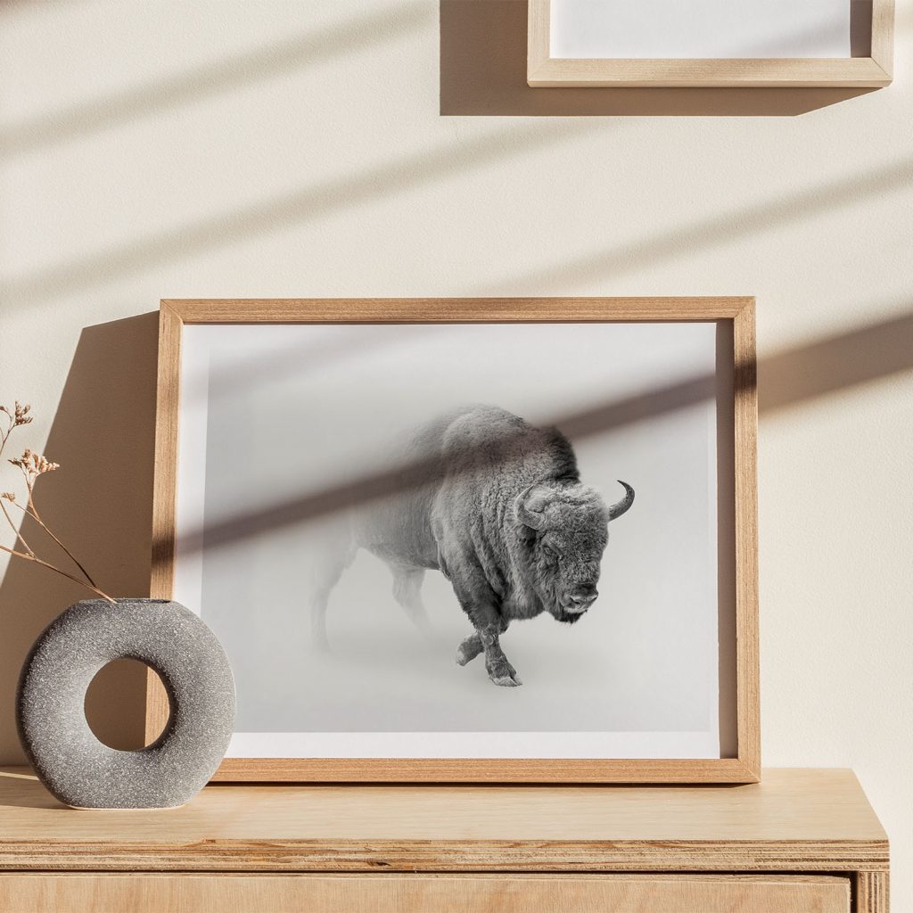 Nature Bison in Mist – Wall Art